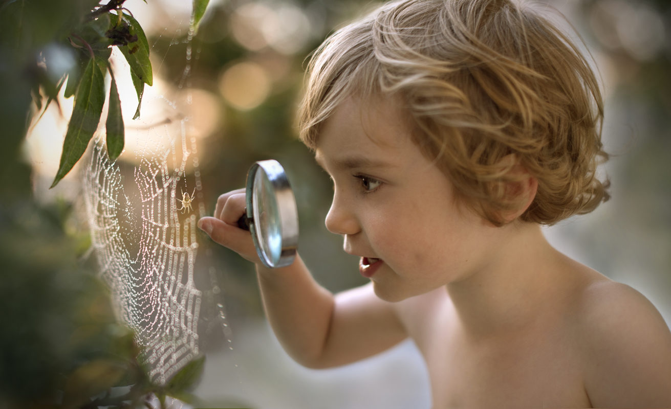 Spider Web and Boy_small