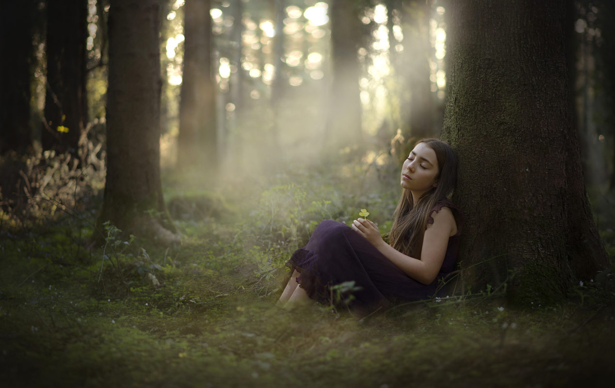 Dreamy Irish Forest small 1